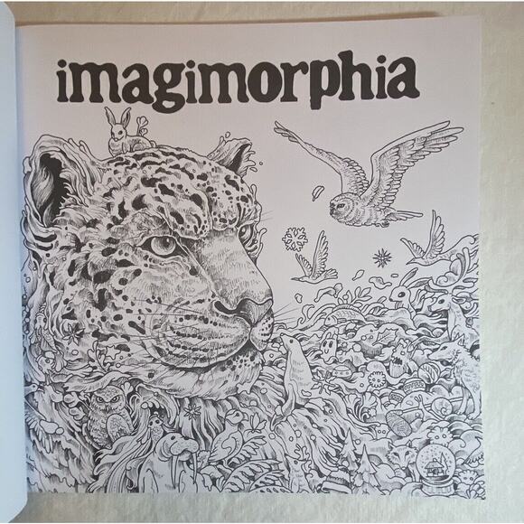 Imagimorphia : An Extreme Coloring and Search Challenge by Kerby Rosanes (2016) - Picture 5 of 16